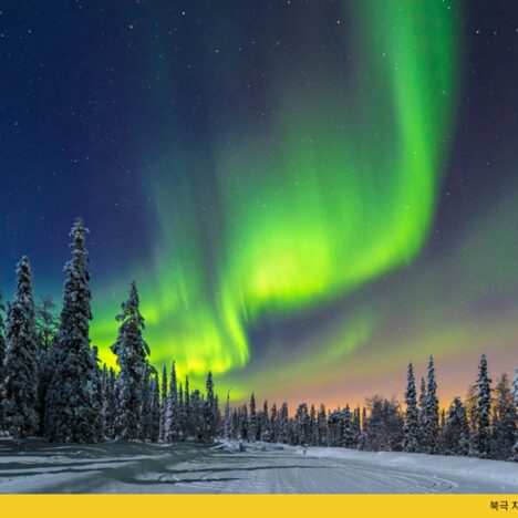 아이랑 먹기 좋은 베트남 음식 Best 8